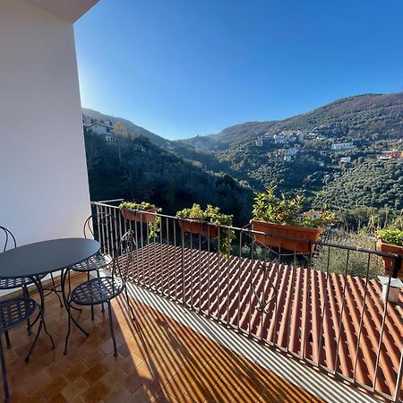 La Casa Di Luisa Appartamento 3 Camere Вико-Экуенсе Экстерьер фото